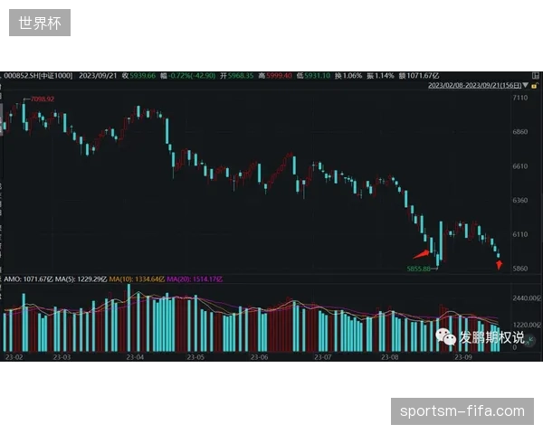 体育行业缺失版权分账标准，是否直接导致了观众全生命周期价值测算失真？